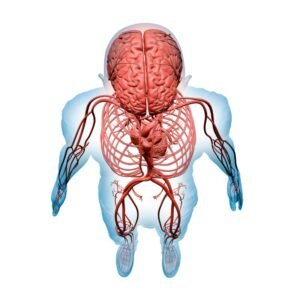 Diagrama mostrando a relação entre mente e corpo